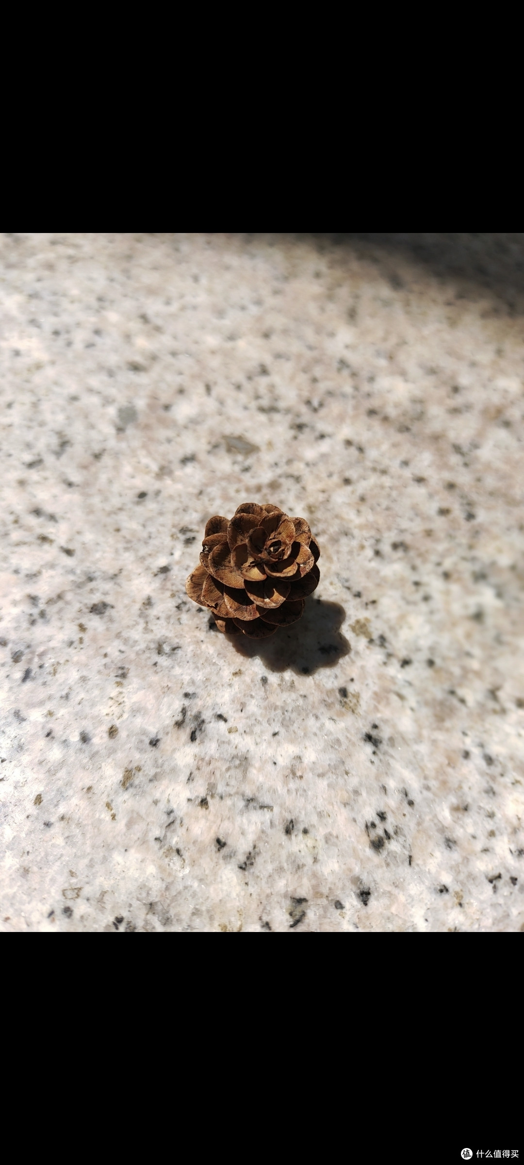 明媚的天气我们出去玩