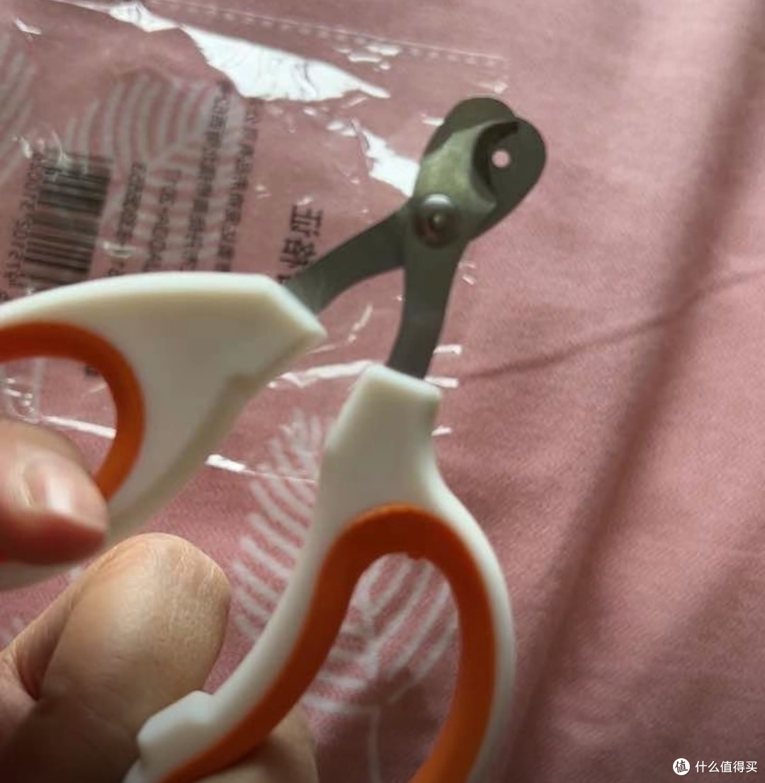 给小猫准备的指甲剪简直好用