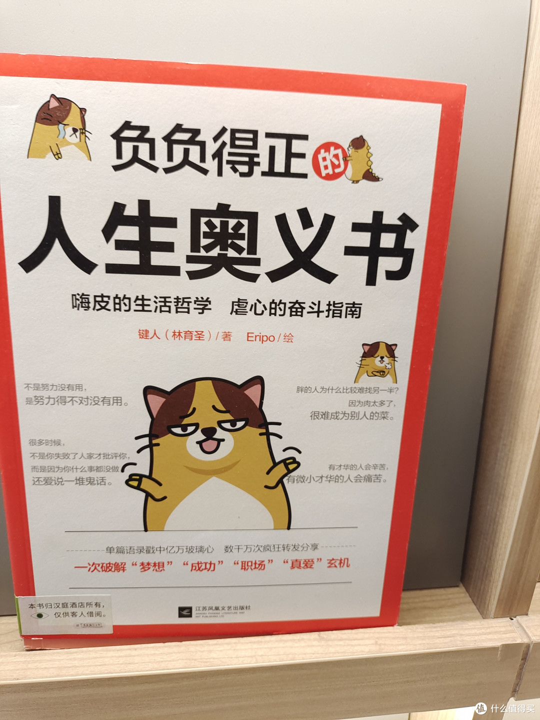 和大家分享一本新书:负负得正的人生奥义。