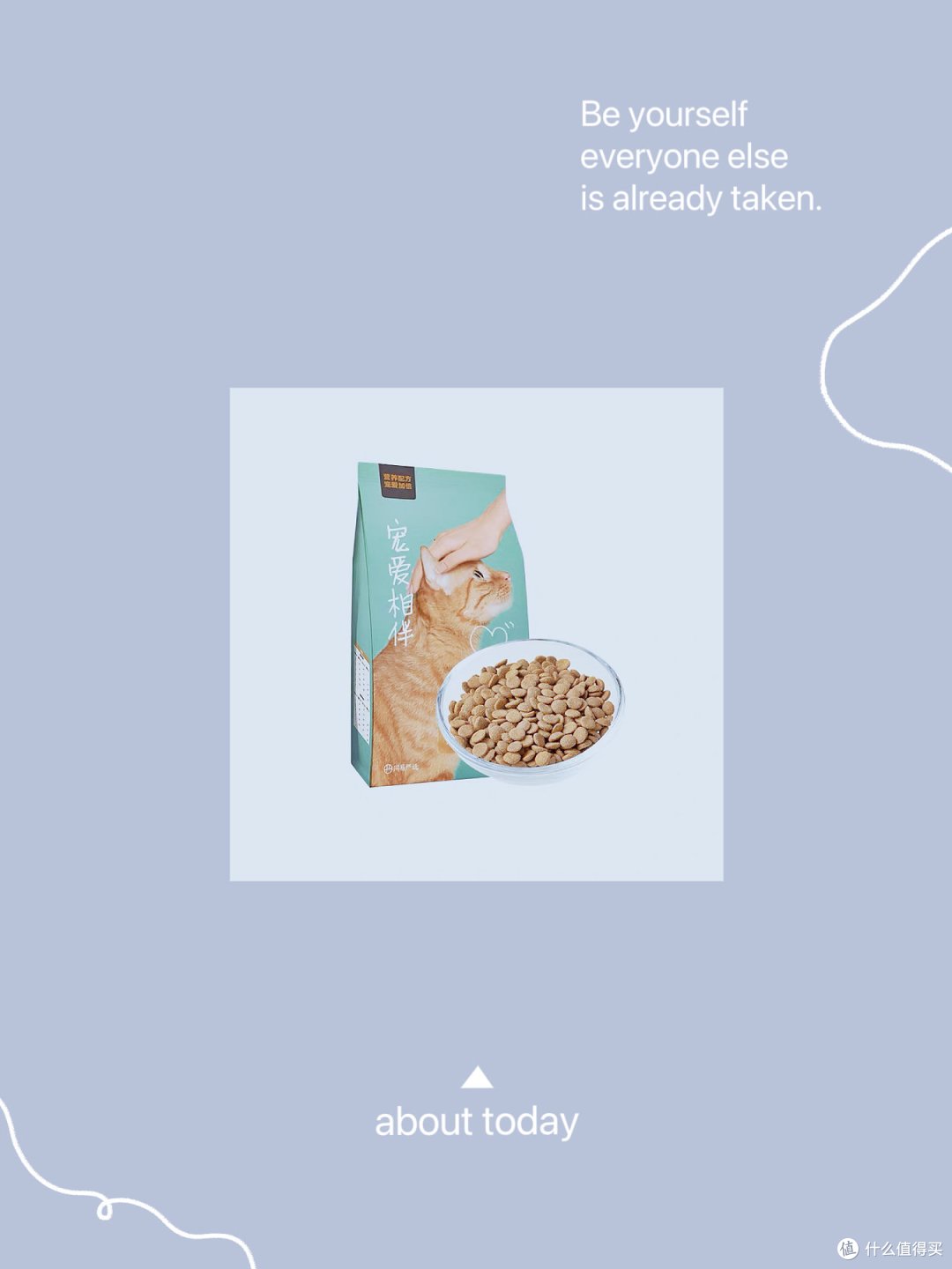 如何选择一款合适的猫粮