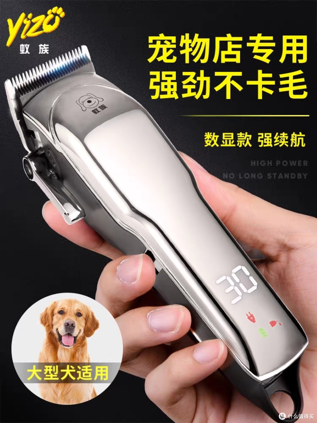谈谈养金毛我是怎么省钱的！