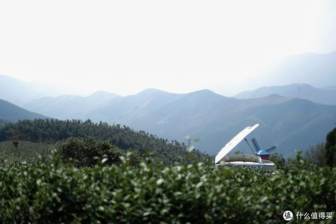 莫干山春季踏青采野之旅！一站式攻略！莫干山怎么玩看这篇就够了