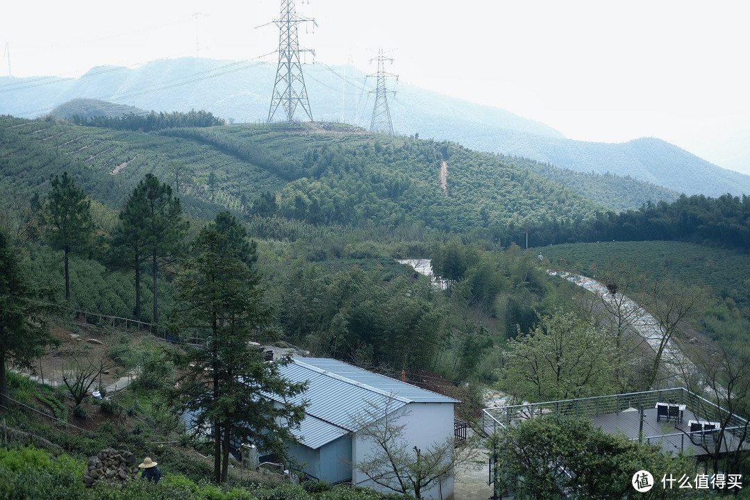 莫干山春季踏青采野之旅！一站式攻略！莫干山怎么玩看这篇就够了