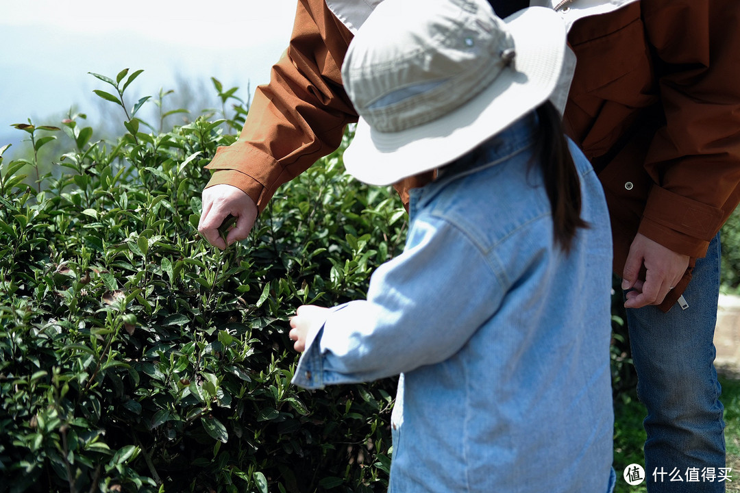 莫干山春季踏青采野之旅！一站式攻略！莫干山怎么玩看这篇就够了