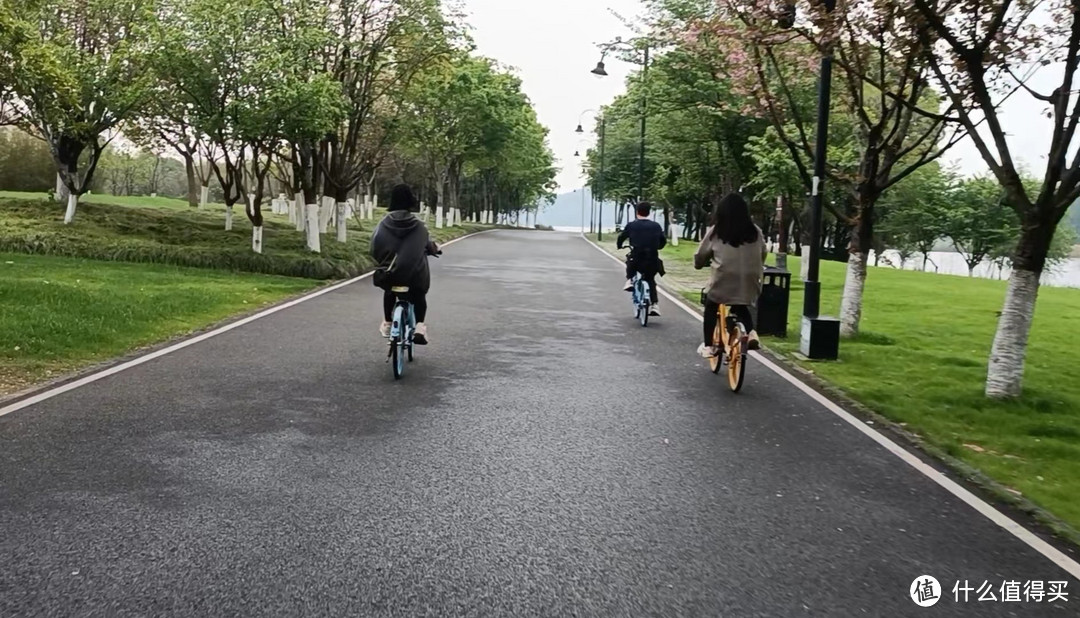 武汉吃喝之旅-零距离接触石楠花