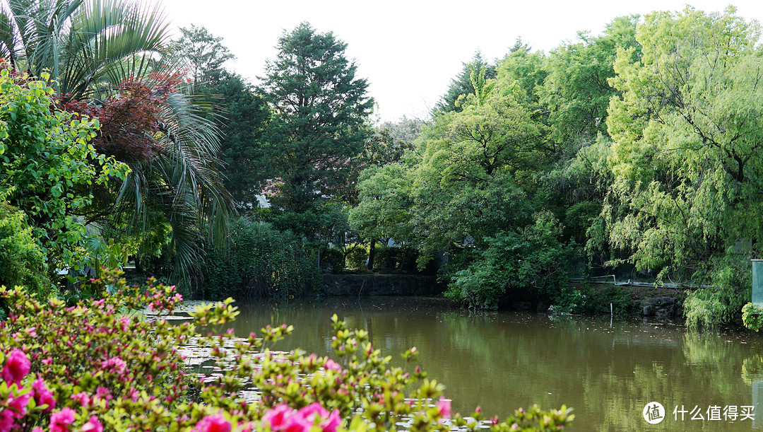 免费游览！五一快来上海植物园看上海（国际）花展~