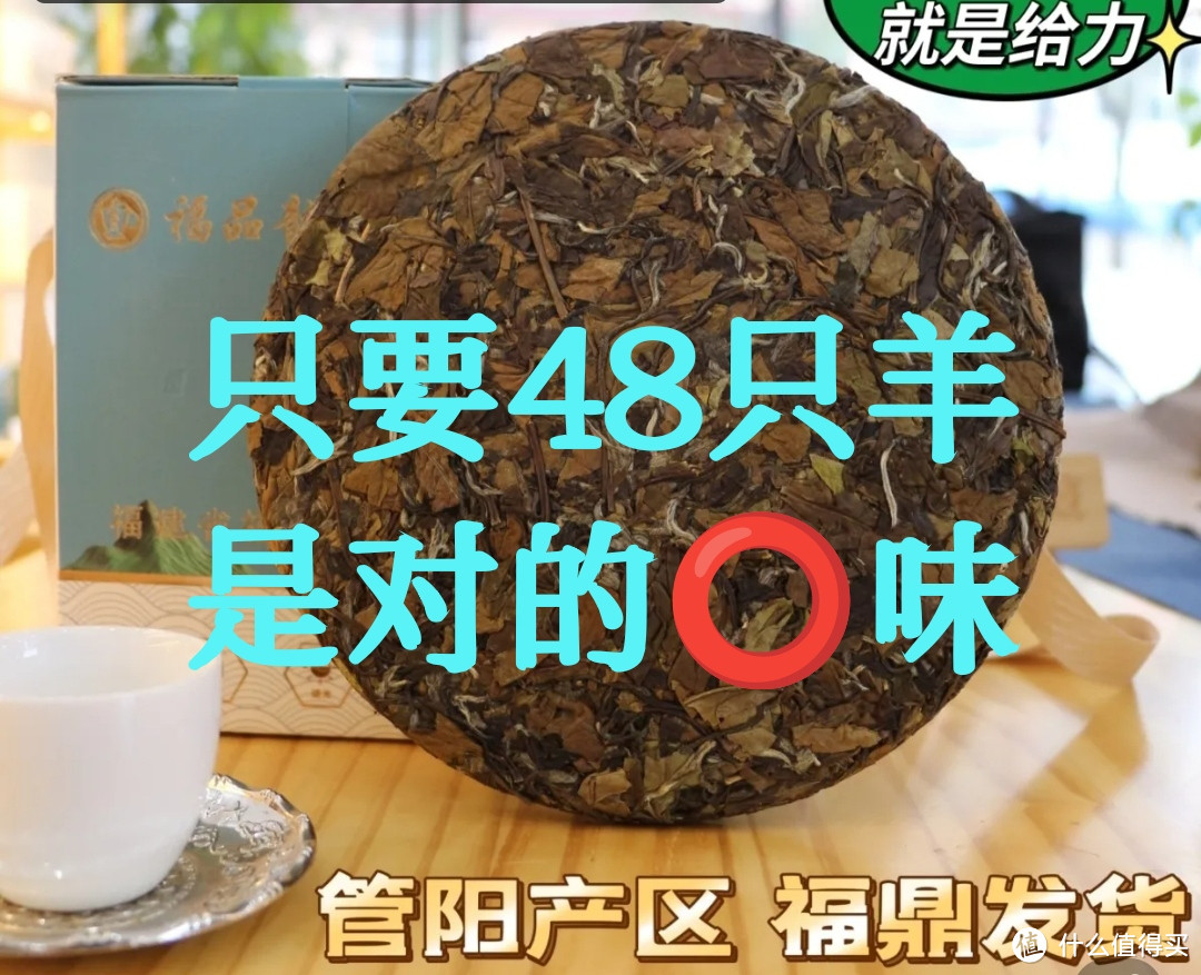 茶具笔床陪语笑，未妨日饮慰还乡