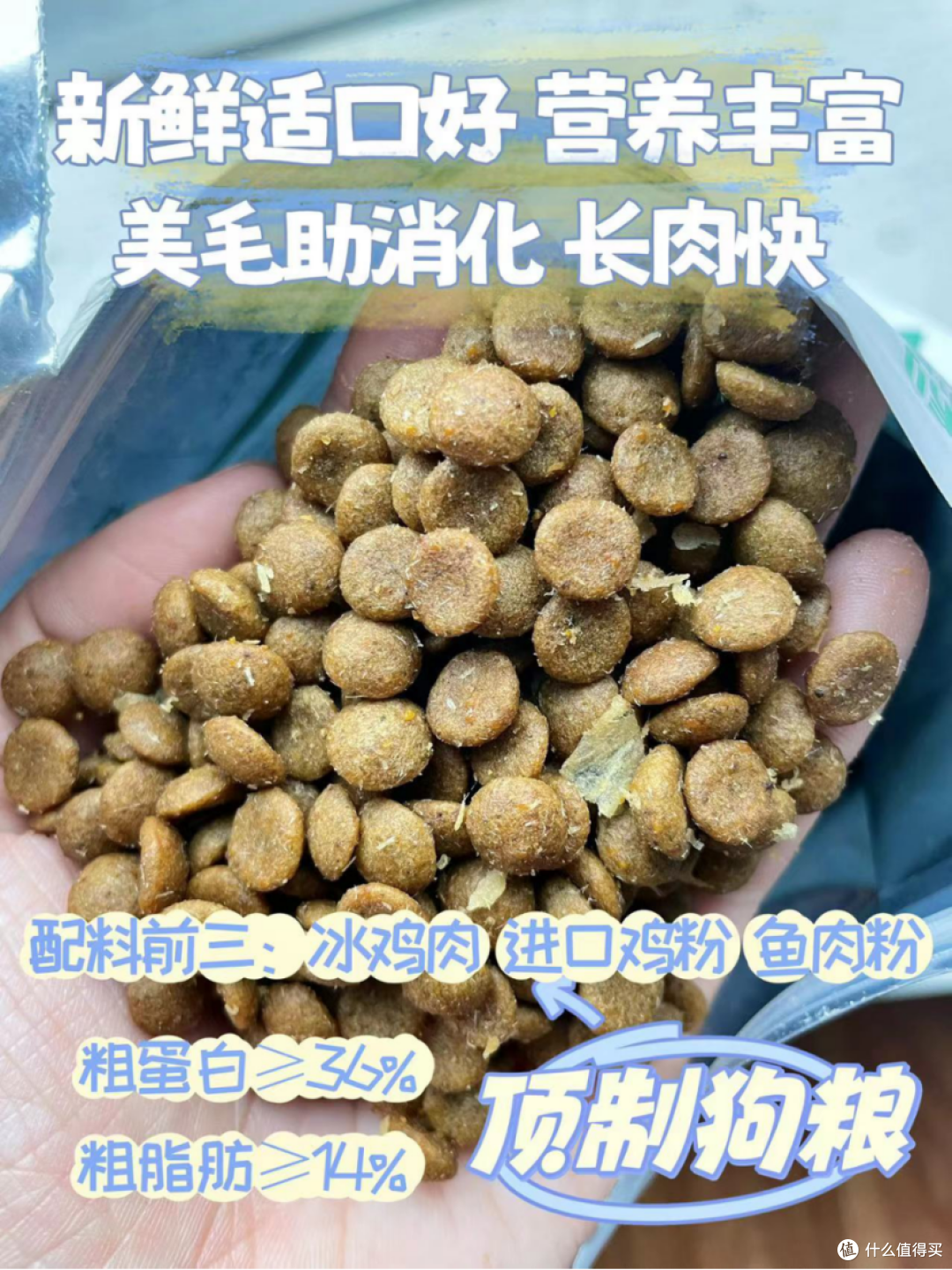 ​新手养狗进|月薪3000+靠谱狗粮攻略