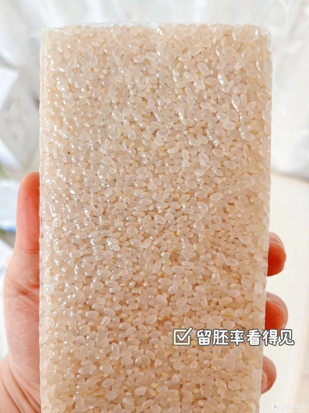 秋天满满全系列辅食零食测评～