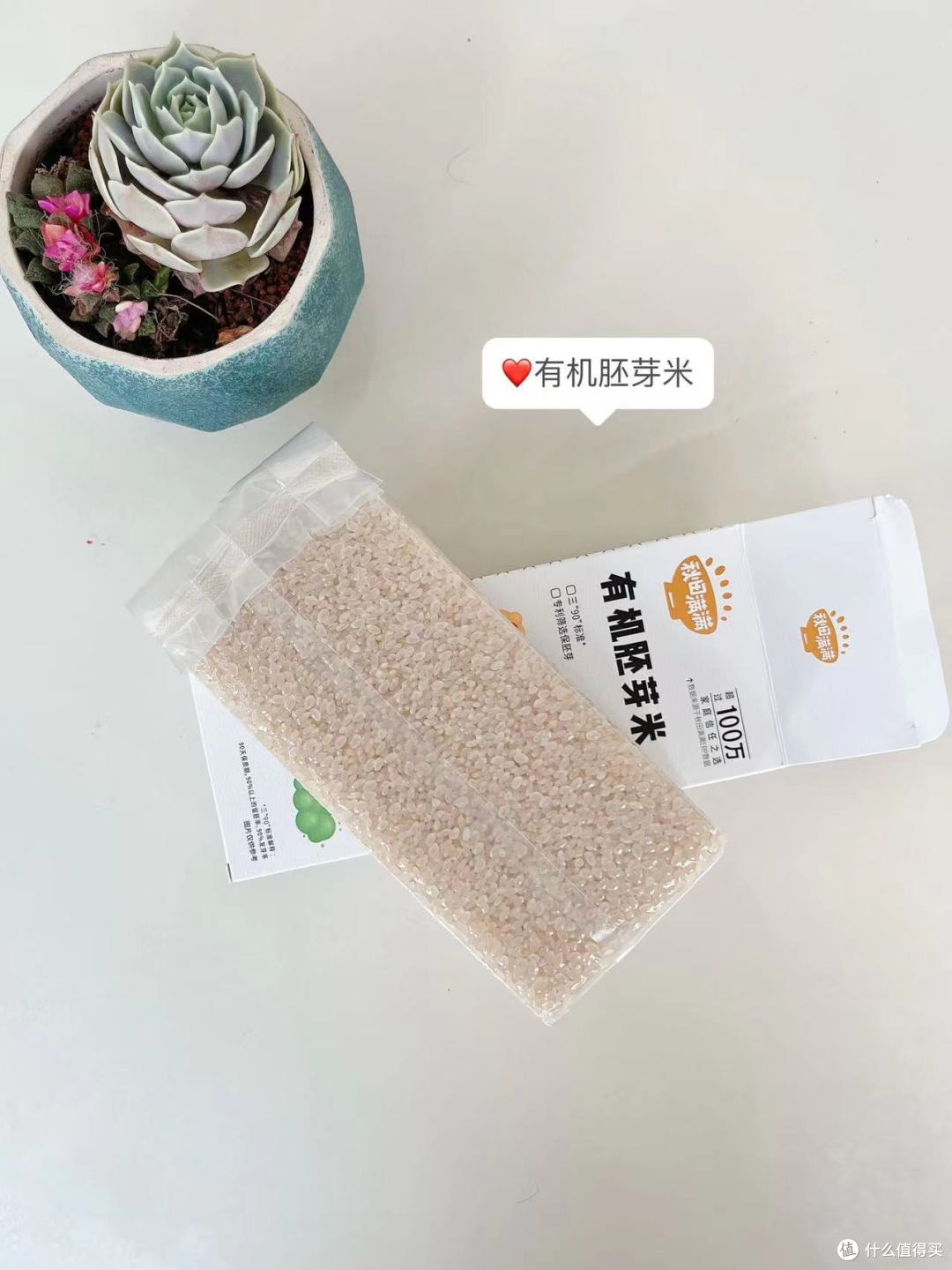 秋天满满全系列辅食零食测评～