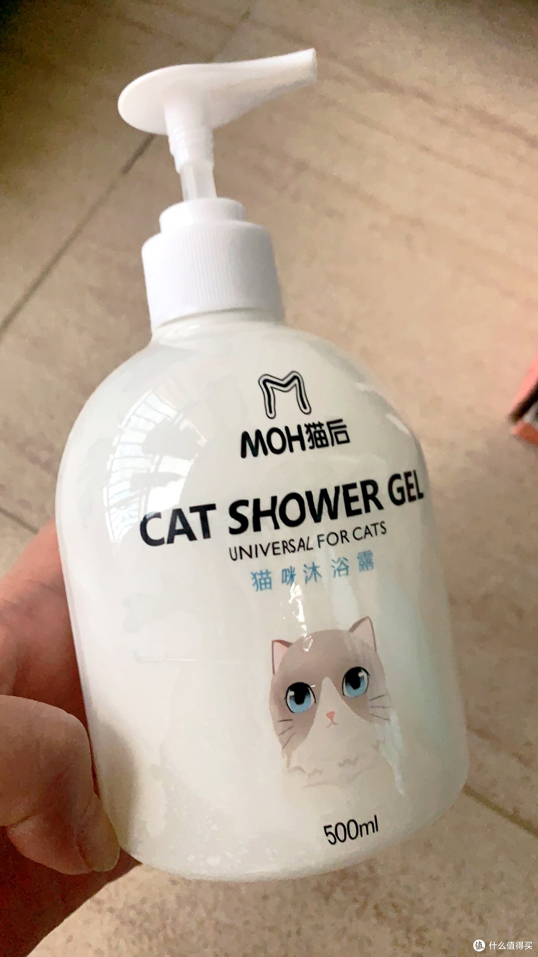 猫咪必备清洁好物推荐