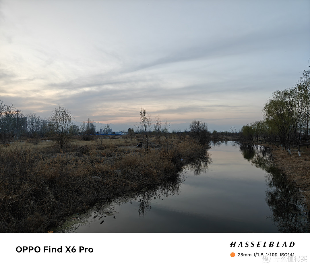 Oppo Findx6 Pro拍照可是真的顶，实拍几张分享