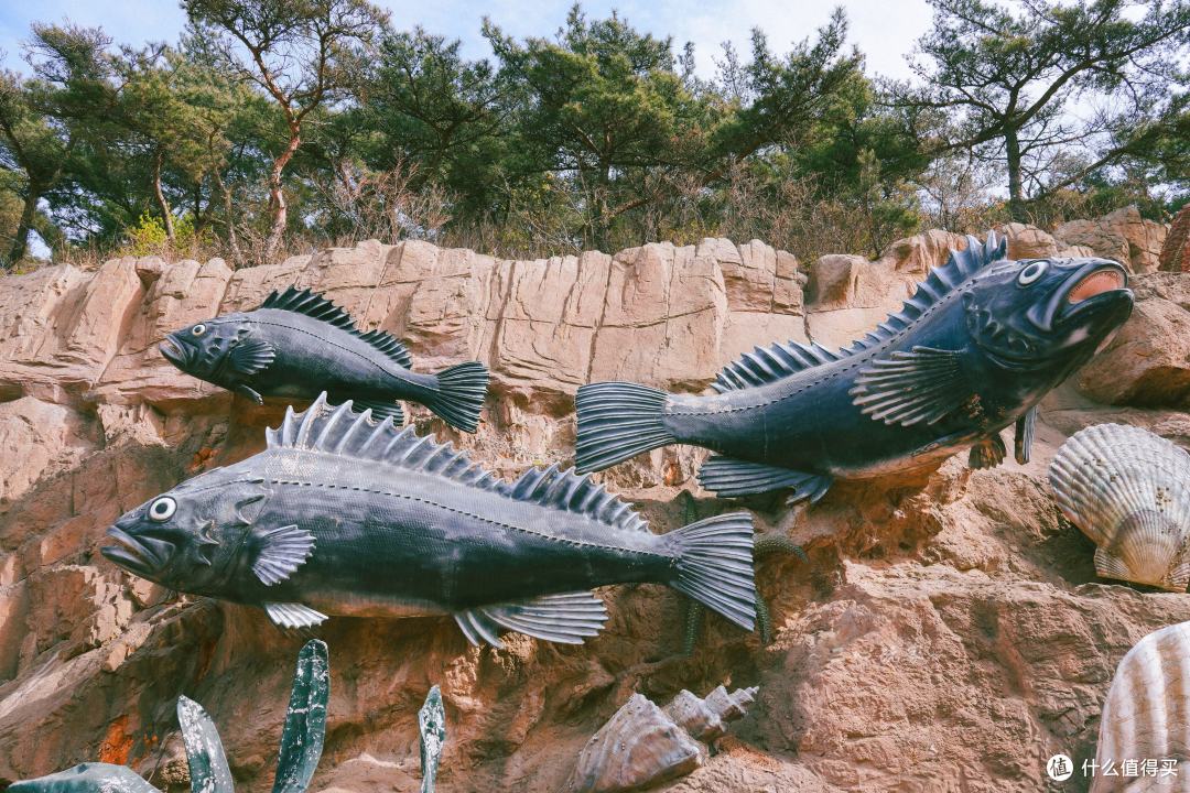 徒步逛海底大峡谷,实力太弱居然没走完!