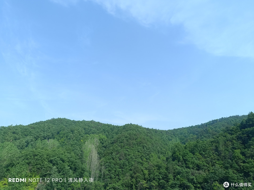 在开满石楠花的小山上露营，一定要记得戴口罩啊。