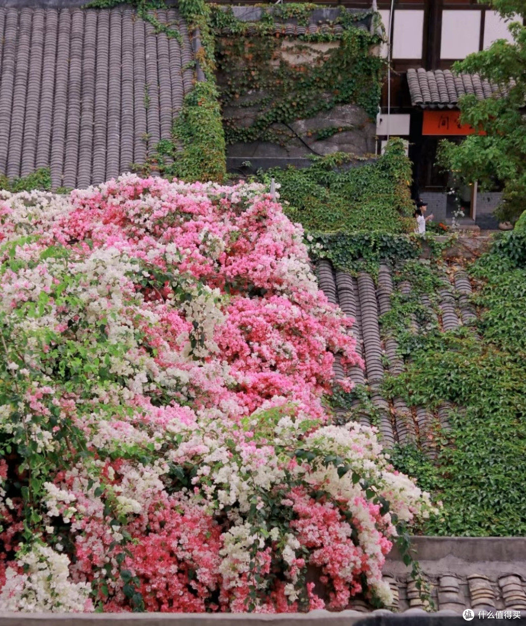 深圳溜娃宝地—深圳小丽江：甘坑客家小镇