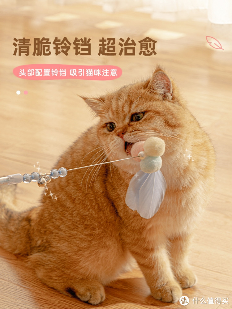 小猫咪最喜欢的玩具|会发光，会响，毛绒绒的逗猫棒！