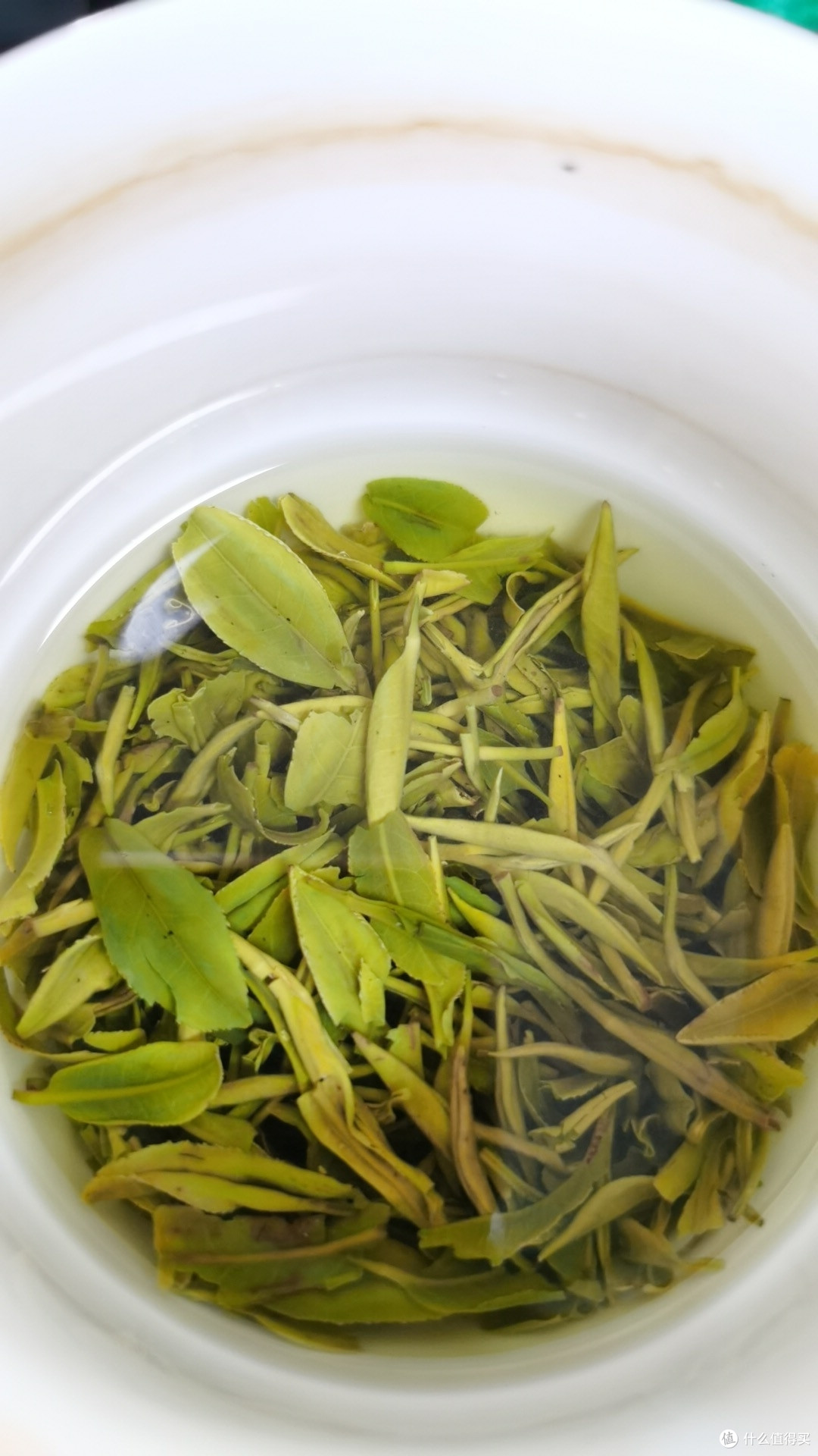 聊聊今年喝到的口粮茶之鹤峰茶