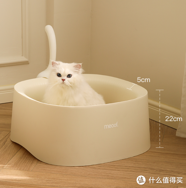 新手养猫，教你全套搞定接猫装备