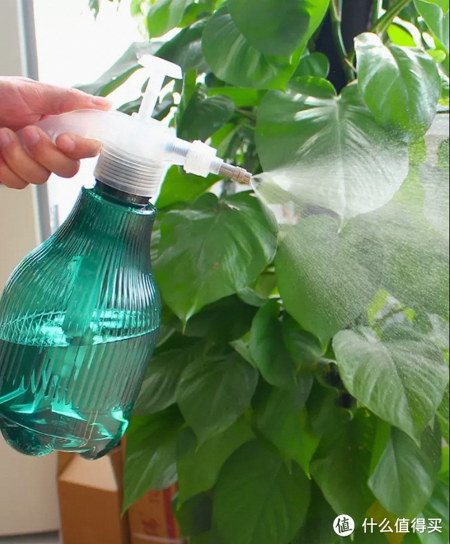 绿植爱好者必看：这些常用工具能让你的植物更健康！