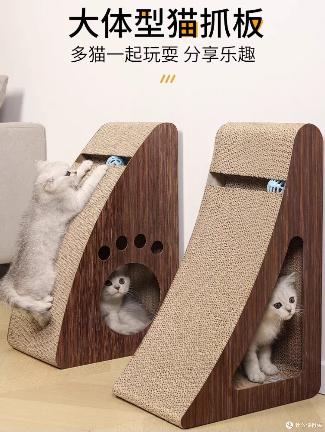 🐈不一定每天都很好,但每天都有一只小美好在等你🐈养宠好物分享