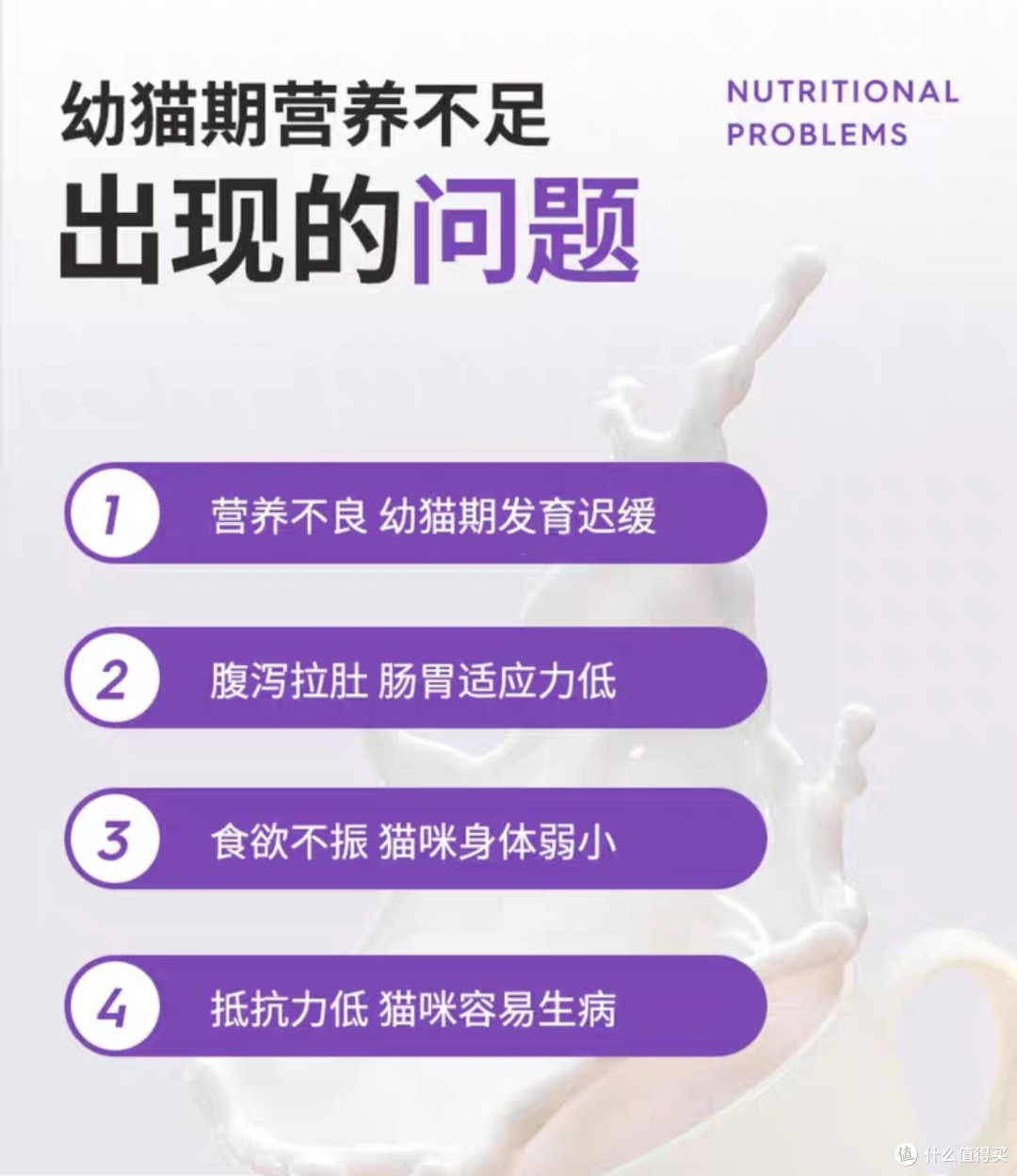 🐈不一定每天都很好,但每天都有一只小美好在等你🐈养宠好物分享