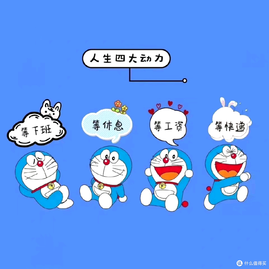 🐈不一定每天都很好,但每天都有一只小美好在等你🐈养宠好物分享