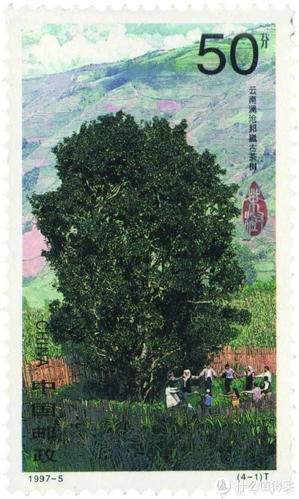 1997年发行的特种邮票《茶》之4-1“茶树”