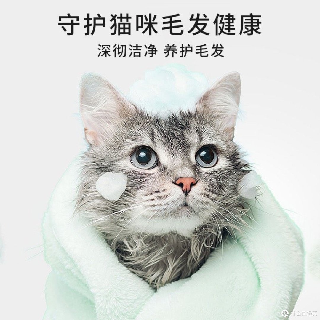 养宠清洁大作战:猫咪洗护篇1⃣️