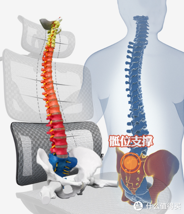 人体工学椅开箱测评【第13期】，【享耀家S3A 】人体工学椅开箱测评