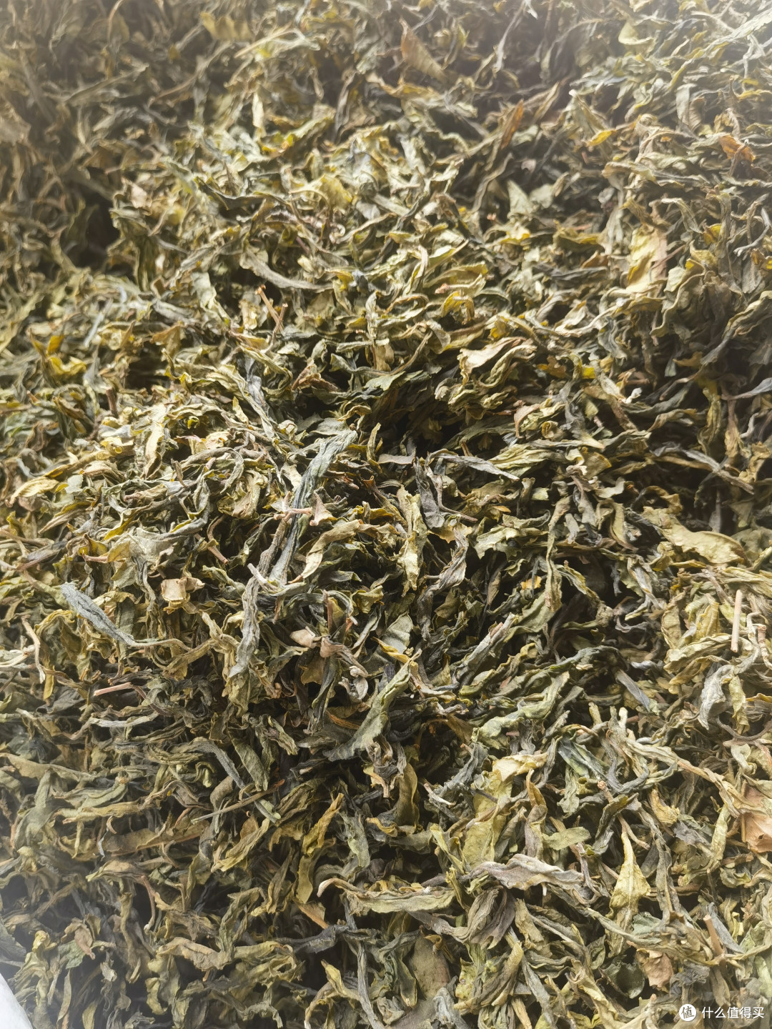 普洱茶中的“黄片”是什么？