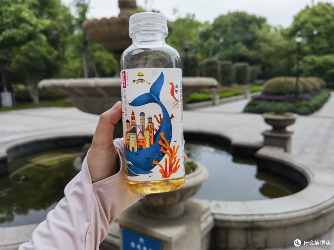 青提跟乌龙茶🍵碰撞是什么味!
