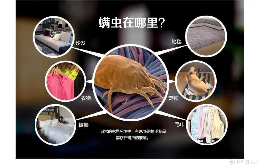 一身绝活的螨虫克星,舒乐氏大功率除螨吸尘器SLS-CM01它来了