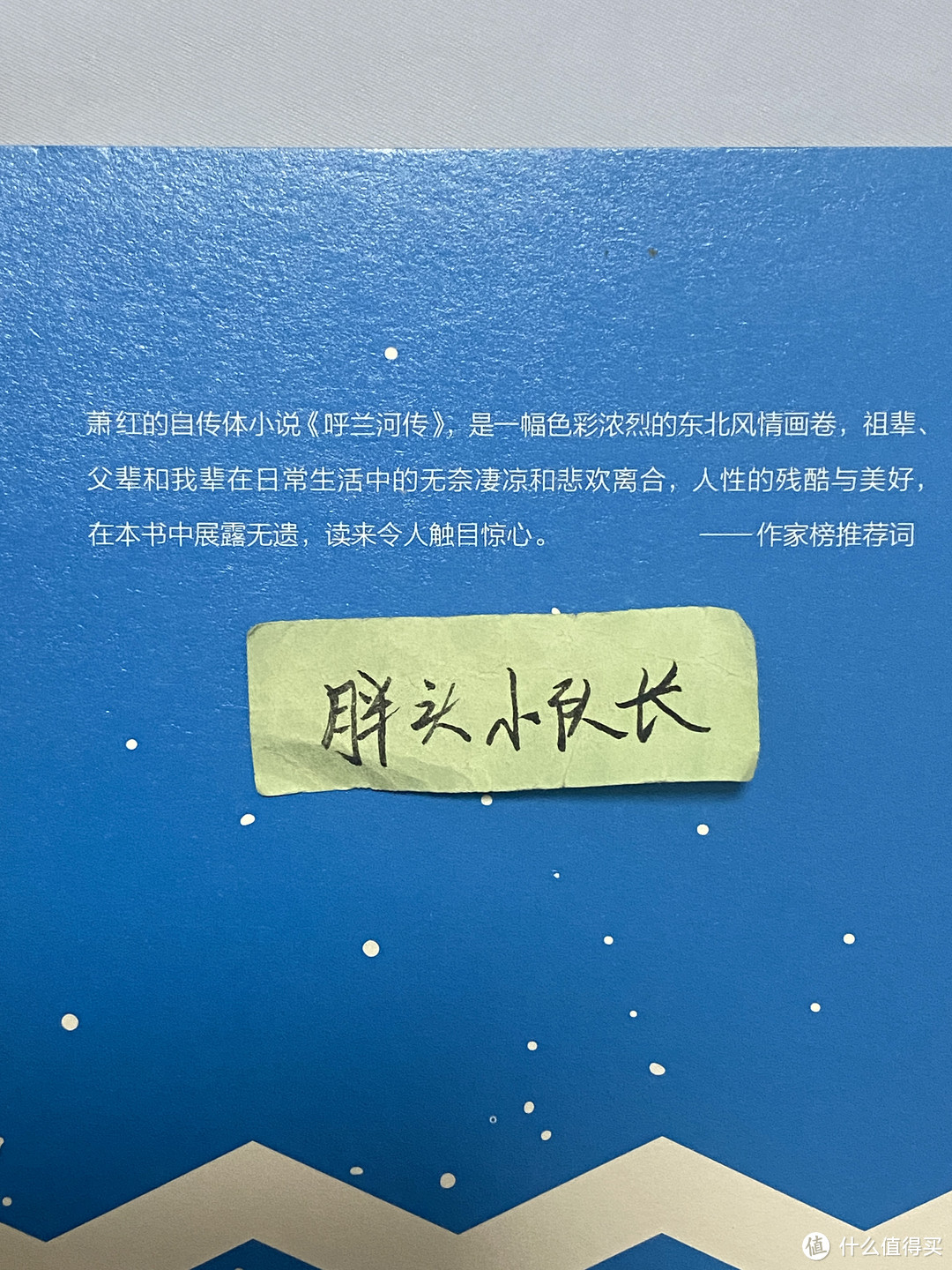 2023年再度《呼兰河传》有感，再次为萧红的写作天赋拜倒