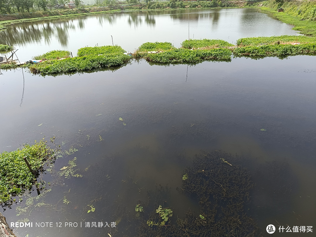 虾塘露营日记：池塘主说介绍他女儿给我认识！我在村里帮忙喂虾，报酬就是油焖蒜蓉，咸辣吃够清蒸一下