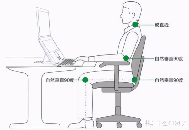 人体工学椅选购攻略：人体工学椅是智商税吗？不同体型的人该如何选择人体工学椅？预算1000元左右、2000元左右以及3000元左右人体工学椅推荐