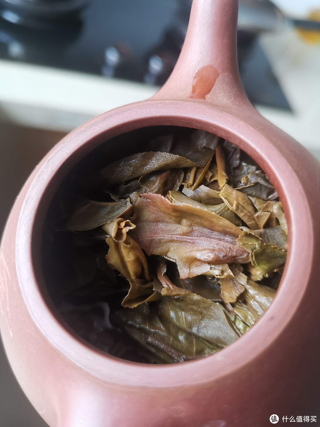 震惊!本期大部分都是不推荐!