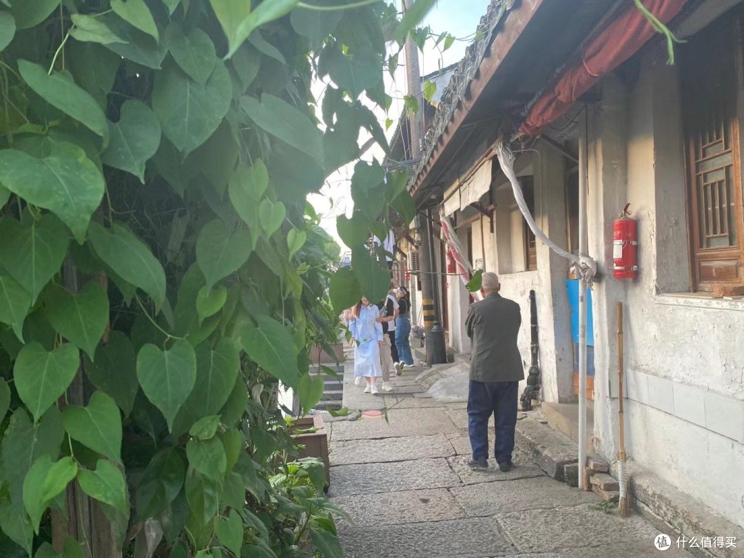 春日出游之打卡绍兴八字桥