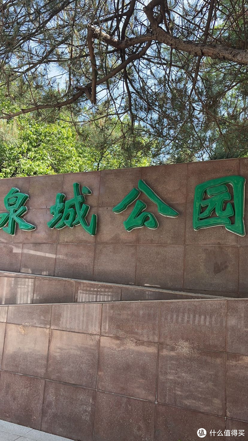你一句春不晚,我就堵在了济南见证了求婚~