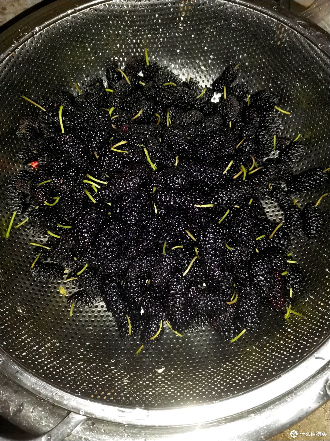 春日出游之采摘桑葚计划