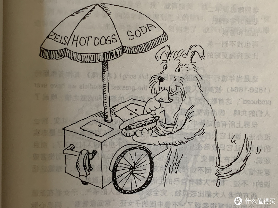 图书馆猿の2023读书计划29:《这样的猫和那样的狗》