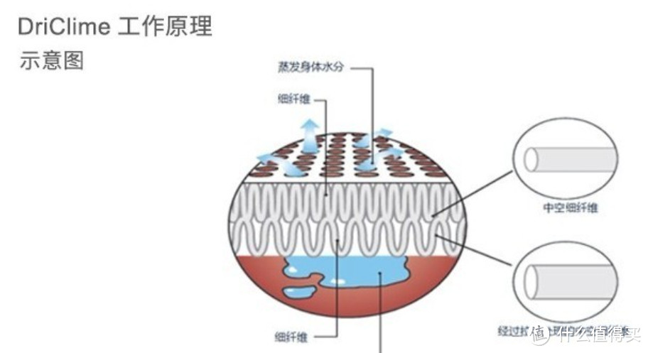 79元血赚价？国际大牌土拨鼠大促啦！6款劲爆价夏装快来抢~【好价清单】