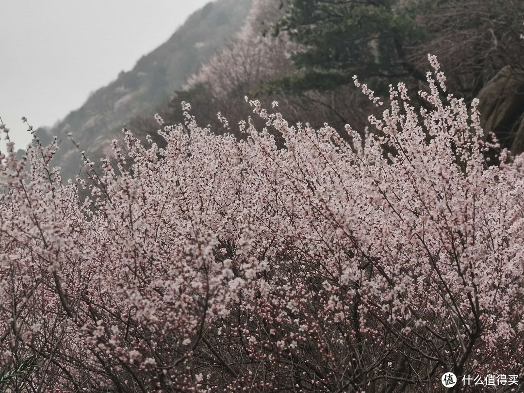 记录第一次徒步，十里桃花三凤山