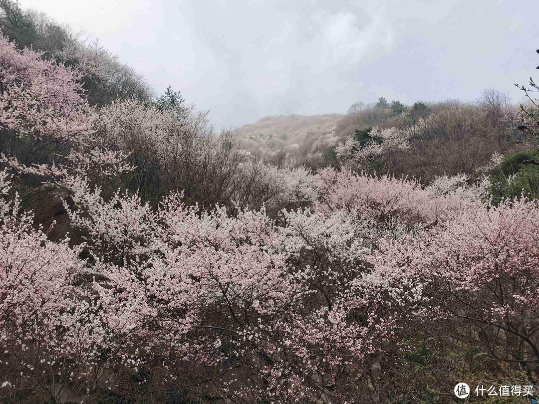 记录第一次徒步，十里桃花三凤山