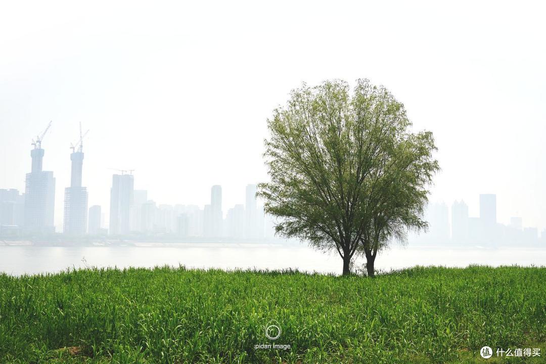 技巧:雾天大大减少远景的细节,深浅对比。