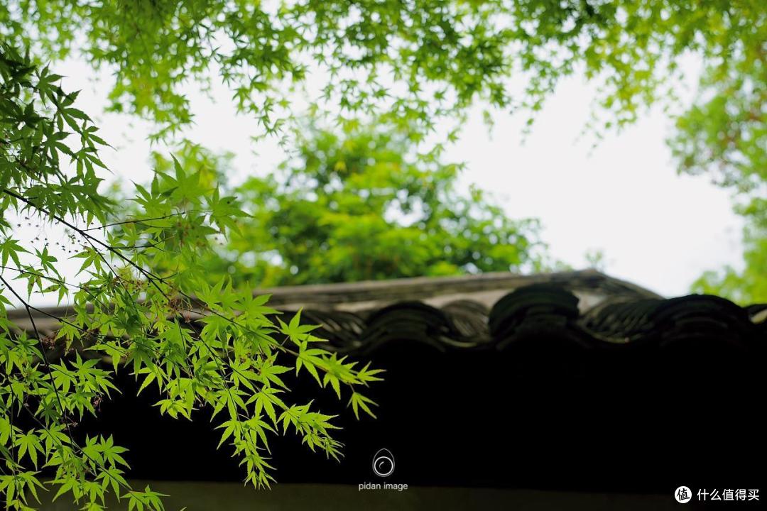 作业样例:近处明暗对比,远处虚实对比。