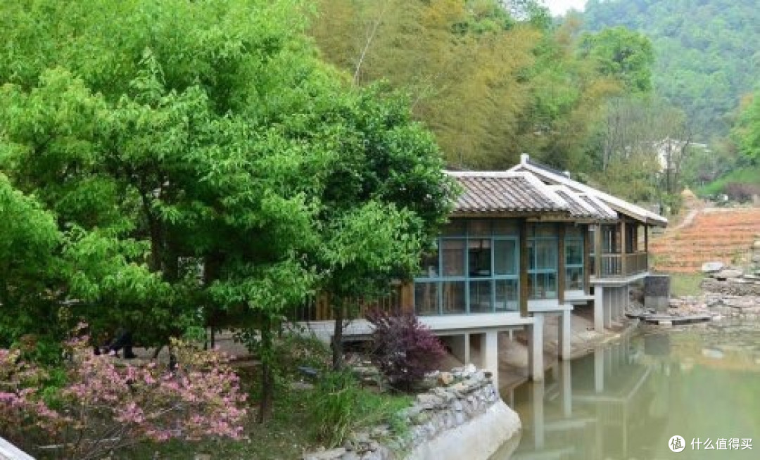这个五一很狂欢,仙庾岭必须走一走,闹中取静,休闲休闲!