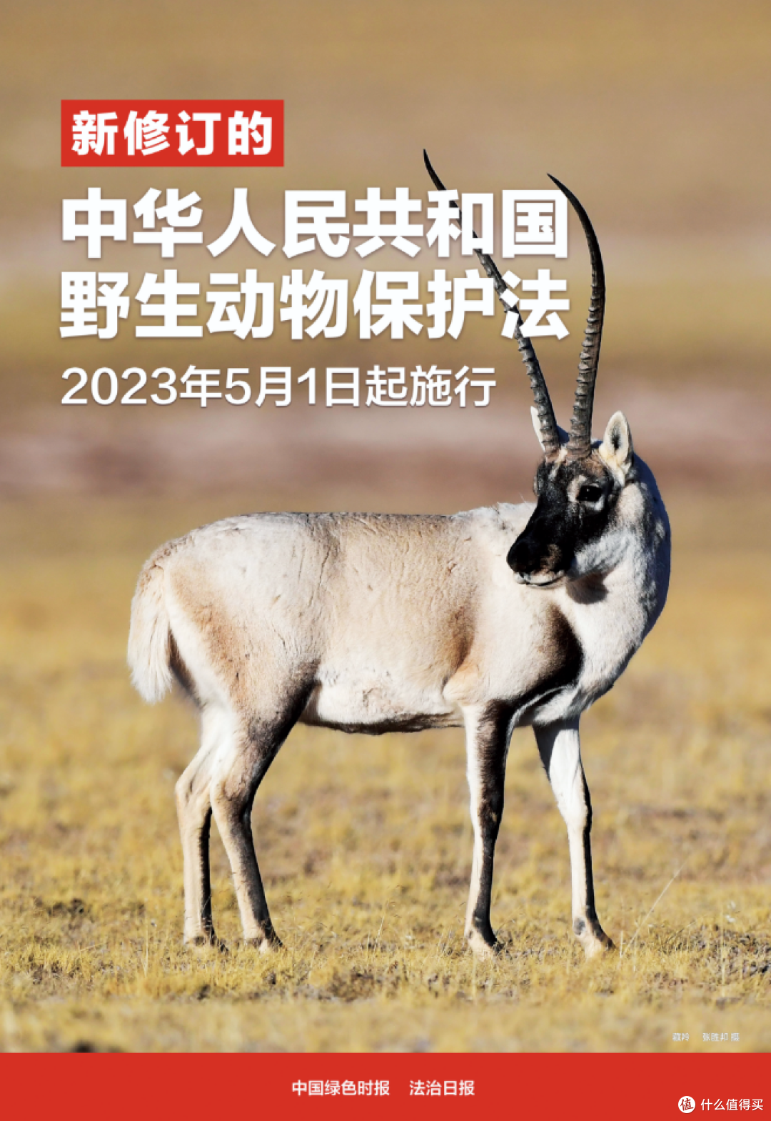 养龟很难么?避开这些坑,你就是老手!