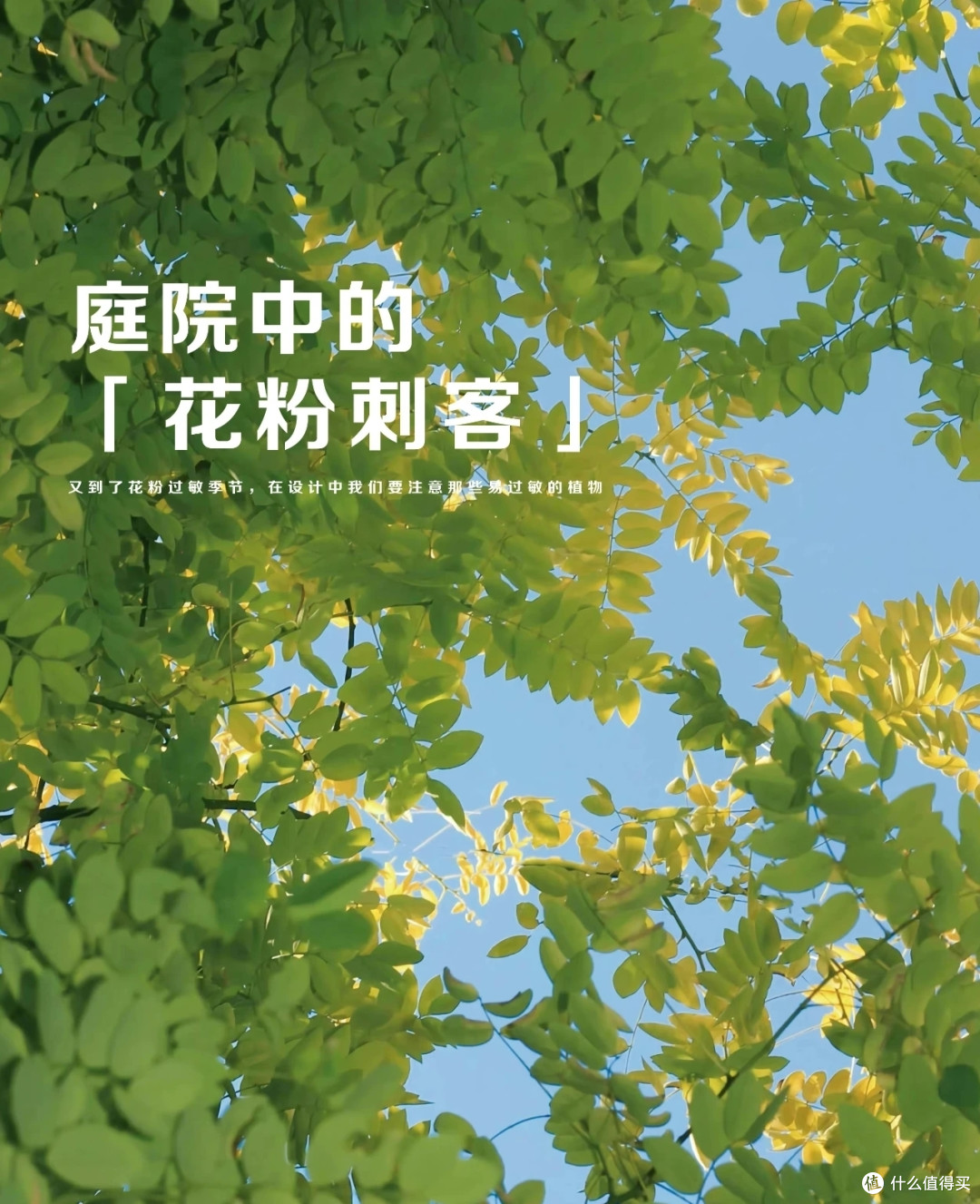 花粉过敏,一定要注意啊