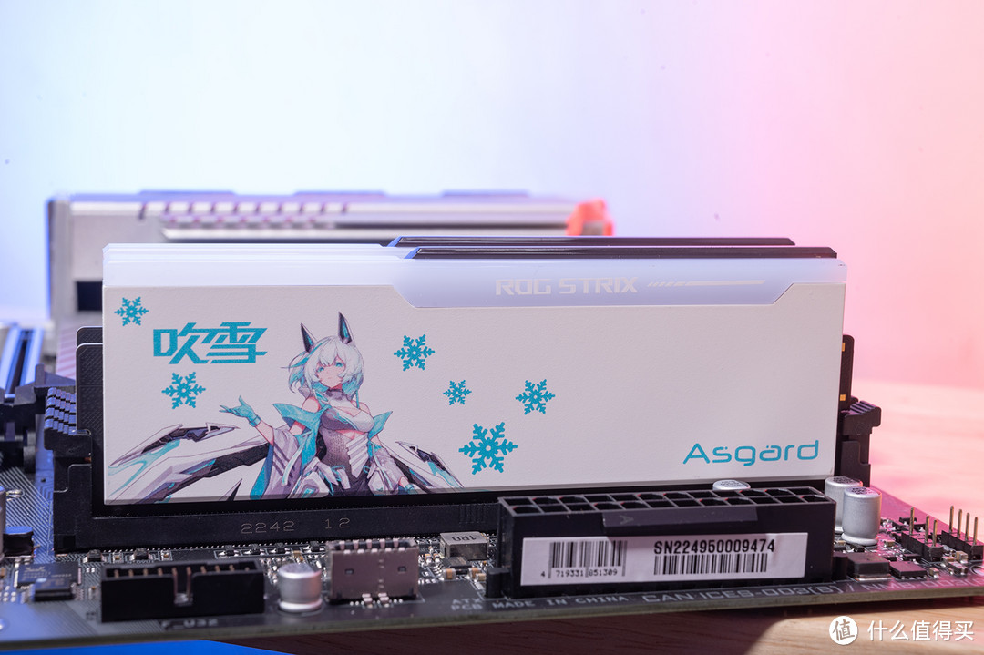 阿斯加特联名款吹雪DDR5内存+影驰HOF，纯白风装机，好看又能打