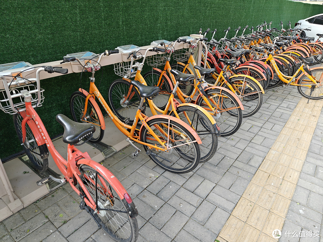 西安城市自行车真心不错，免费骑行世博园一圈，舒服